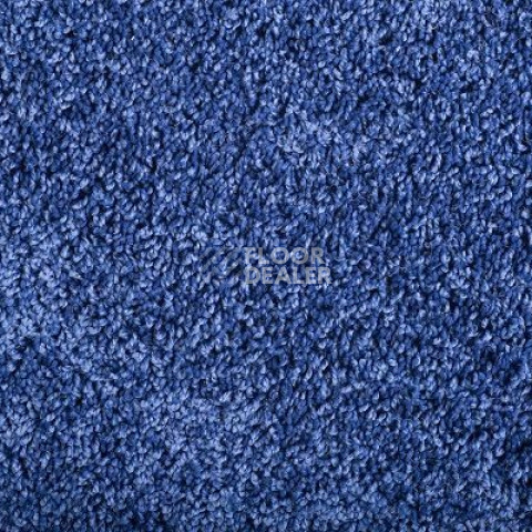 Ковролин Condor Minotti Minotti 918204 фото 1 | FLOORDEALER